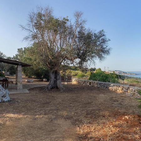 Levante E Libeccio Villette Vista Mare - Marina Di 安德拉诺 外观 照片