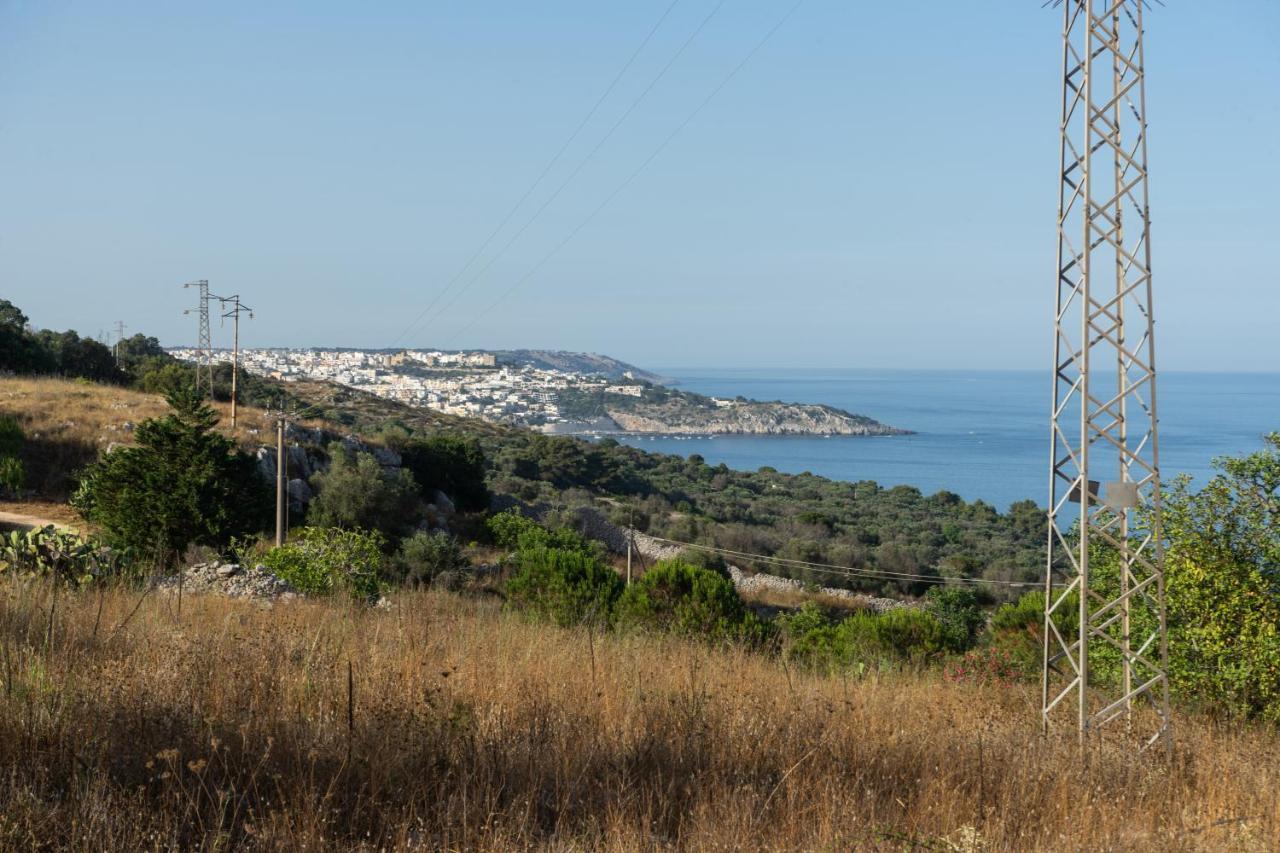 Levante E Libeccio Villette Vista Mare - Marina Di 安德拉诺 外观 照片